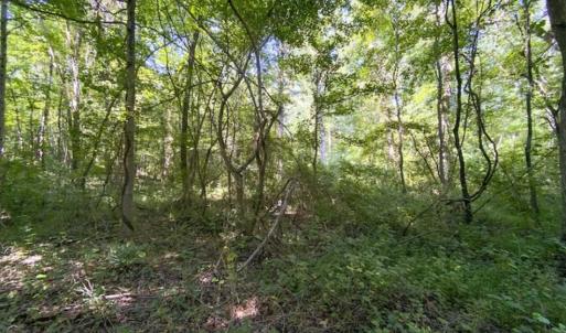 Photo of UNDER CONTRACT!!  85.62 +/- Acres of Hunting and Farm Land For Sale in Person County NC!