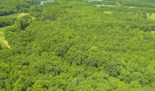 Photo of UNDER CONTRACT!!  85.62 +/- Acres of Hunting and Farm Land For Sale in Person County NC!