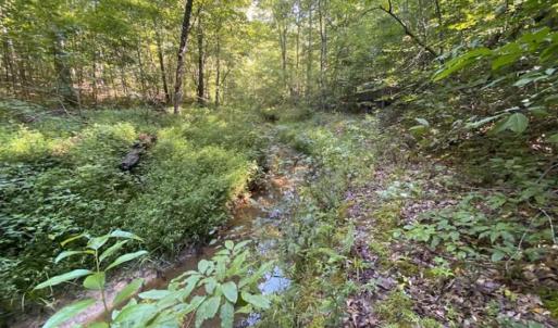 Photo of UNDER CONTRACT!!  85.62 +/- Acres of Hunting and Farm Land For Sale in Person County NC!