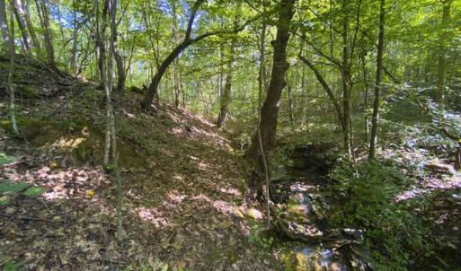 Photo of UNDER CONTRACT!!  85.62 +/- Acres of Hunting and Farm Land For Sale in Person County NC!