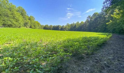 Photo of UNDER CONTRACT!!  85.62 +/- Acres of Hunting and Farm Land For Sale in Person County NC!