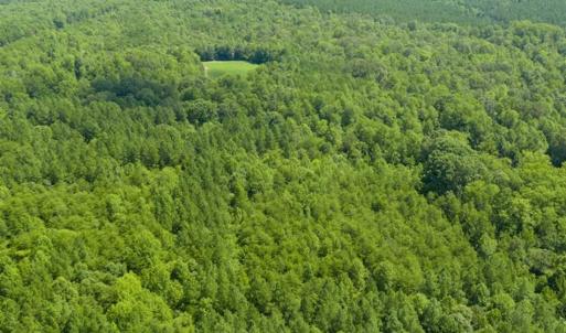 Photo of UNDER CONTRACT!!  85.62 +/- Acres of Hunting and Farm Land For Sale in Person County NC!