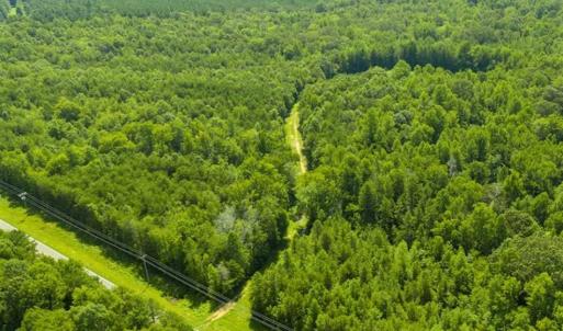 Photo of UNDER CONTRACT!!  85.62 +/- Acres of Hunting and Farm Land For Sale in Person County NC!