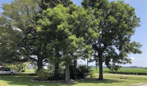 Photo of UNDER CONTRACT!!  0.55 Acre Lot with Brick Home For Sale in Hyde County NC!