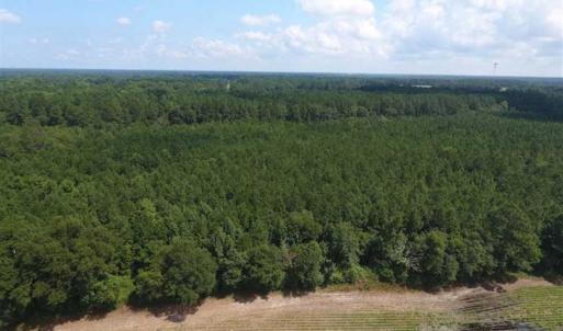 Photo of SOLD!!  47.5 Acres of Residential and Recreational Land For Sale in Duplin County NC!
