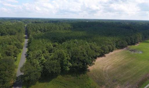 Photo of SOLD!!  47.5 Acres of Residential and Recreational Land For Sale in Duplin County NC!