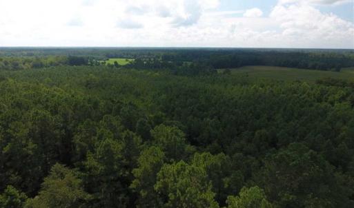 Photo of SOLD!!  47.5 Acres of Residential and Recreational Land For Sale in Duplin County NC!