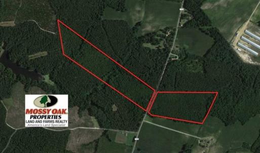 Photo of SOLD!!  47.5 Acres of Residential and Recreational Land For Sale in Duplin County NC!