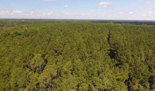Photo of SOLD!!  47.5 Acres of Residential and Recreational Land For Sale in Duplin County NC!