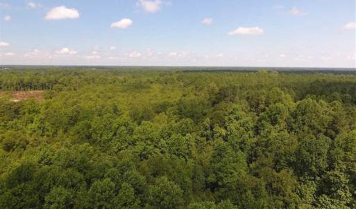 Photo of SOLD!!  47.5 Acres of Residential and Recreational Land For Sale in Duplin County NC!
