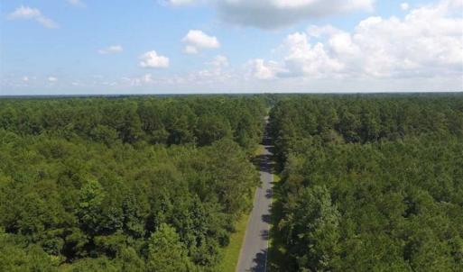 Photo of SOLD!!  47.5 Acres of Residential and Recreational Land For Sale in Duplin County NC!