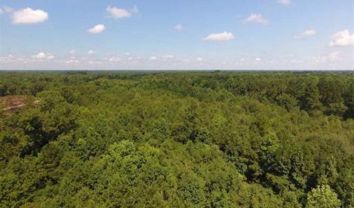 Photo of SOLD!!  47.5 Acres of Residential and Recreational Land For Sale in Duplin County NC!