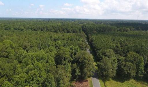 Photo of SOLD!!  47.5 Acres of Residential and Recreational Land For Sale in Duplin County NC!