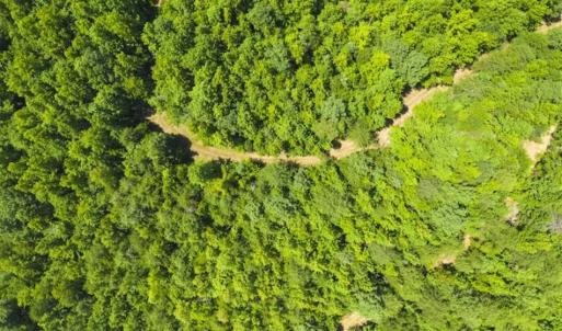 Photo #4 of SOLD property in Off Poplar Drive, Efland, NC 77.8 acres
