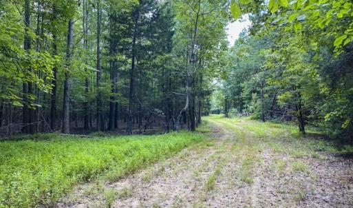 Photo #8 of SOLD property in Off Poplar Drive, Efland, NC 77.8 acres