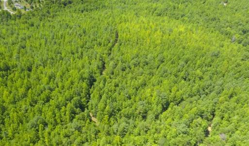 Photo #3 of SOLD property in Off Poplar Drive, Efland, NC 77.8 acres