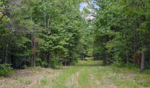 Photo #5 of SOLD property in Off Poplar Drive, Efland, NC 77.8 acres