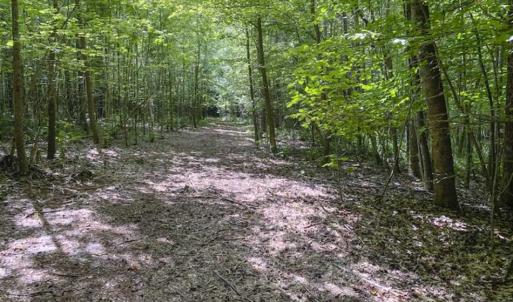 Photo #7 of SOLD property in Off Poplar Drive, Efland, NC 77.8 acres