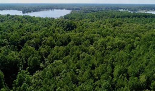 Photo of SOLD!!  33.41 Acres of Hunting and Timber Land For Sale in Beaufort County NC!