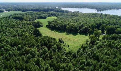 Photo of SOLD!!  33.41 Acres of Hunting and Timber Land For Sale in Beaufort County NC!