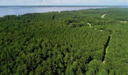 Photo of SOLD!!  33.41 Acres of Hunting and Timber Land For Sale in Beaufort County NC!