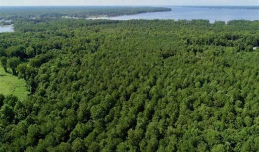 Photo of SOLD!!  33.41 Acres of Hunting and Timber Land For Sale in Beaufort County NC!