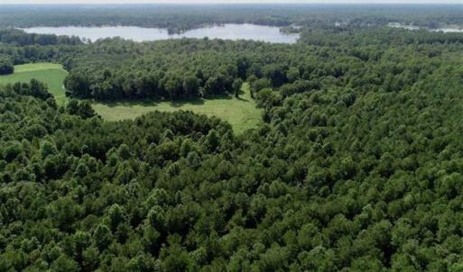 Photo of SOLD!!  33.41 Acres of Hunting and Timber Land For Sale in Beaufort County NC!