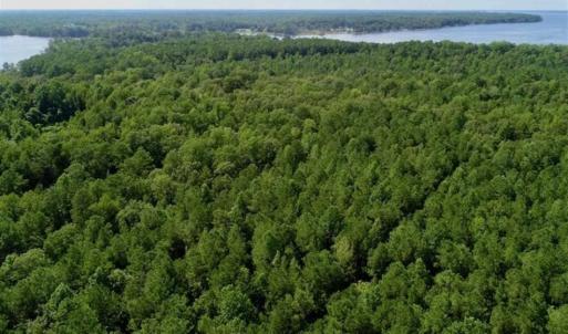 Photo of SOLD!!  33.41 Acres of Hunting and Timber Land For Sale in Beaufort County NC!