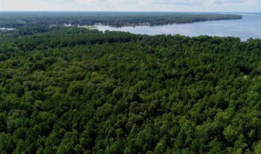 Photo of SOLD!!  33.41 Acres of Hunting and Timber Land For Sale in Beaufort County NC!
