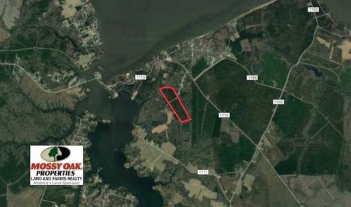 Photo of SOLD!!  33.41 Acres of Hunting and Timber Land For Sale in Beaufort County NC!