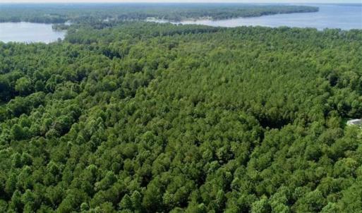 Photo of SOLD!!  33.41 Acres of Hunting and Timber Land For Sale in Beaufort County NC!