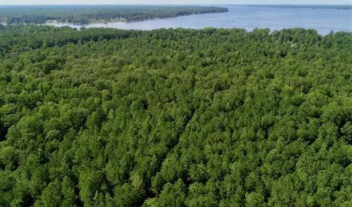Photo of SOLD!!  33.41 Acres of Hunting and Timber Land For Sale in Beaufort County NC!