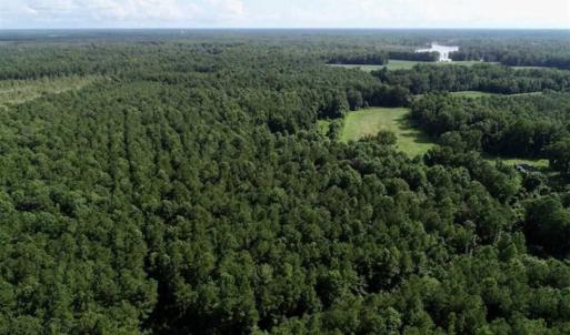 Photo of SOLD!!  33.41 Acres of Hunting and Timber Land For Sale in Beaufort County NC!