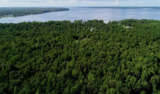 Photo of SOLD!!  33.41 Acres of Hunting and Timber Land For Sale in Beaufort County NC!