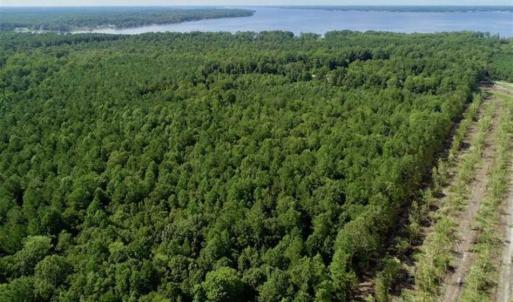 Photo of SOLD!!  33.41 Acres of Hunting and Timber Land For Sale in Beaufort County NC!