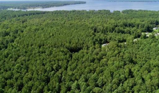 Photo of SOLD!!  33.41 Acres of Hunting and Timber Land For Sale in Beaufort County NC!
