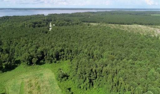 Photo of SOLD!!  33.41 Acres of Hunting and Timber Land For Sale in Beaufort County NC!