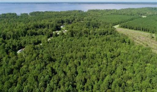 Photo of SOLD!!  33.41 Acres of Hunting and Timber Land For Sale in Beaufort County NC!