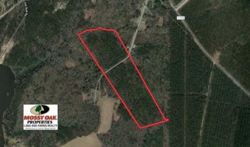 Photo of SOLD!!  33.41 Acres of Hunting and Timber Land For Sale in Beaufort County NC!
