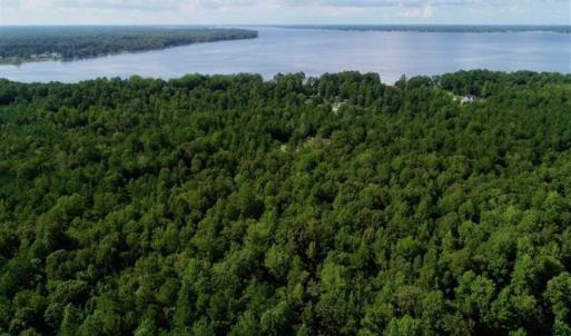 Photo of SOLD!!  33.41 Acres of Hunting and Timber Land For Sale in Beaufort County NC!