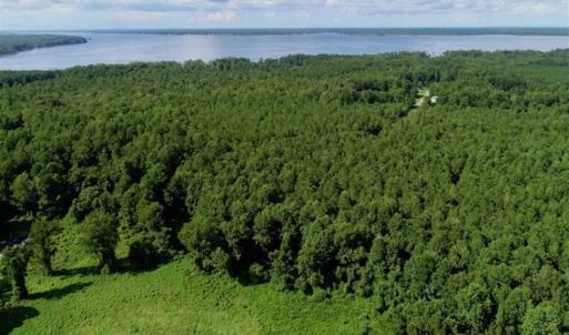 Photo of SOLD!!  33.41 Acres of Hunting and Timber Land For Sale in Beaufort County NC!