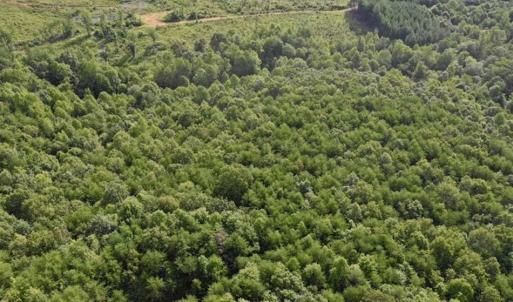 Photo of SOLD!!  52.96 Acres of Hunting Land For Sale in Franklin County VA!