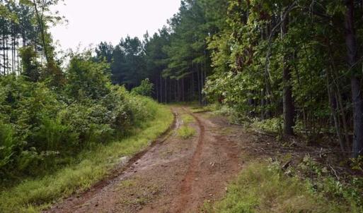 Photo of SOLD!!  52.96 Acres of Hunting Land For Sale in Franklin County VA!