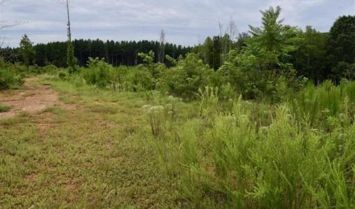 Photo of SOLD!!  52.96 Acres of Hunting Land For Sale in Franklin County VA!