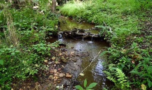 Photo of SOLD!!  52.96 Acres of Hunting Land For Sale in Franklin County VA!