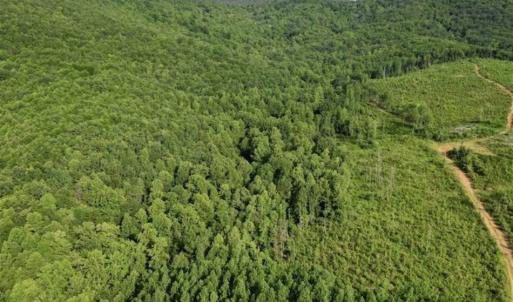 Photo of SOLD!!  52.96 Acres of Hunting Land For Sale in Franklin County VA!