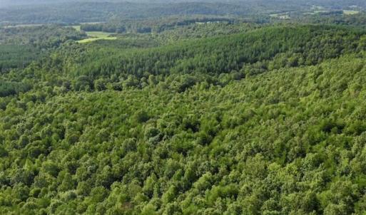 Photo of SOLD!!  52.96 Acres of Hunting Land For Sale in Franklin County VA!