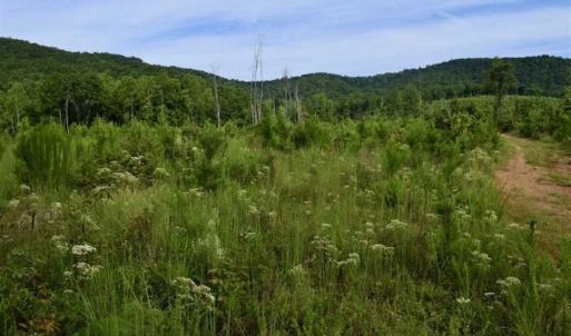 Photo of SOLD!!  52.96 Acres of Hunting Land For Sale in Franklin County VA!