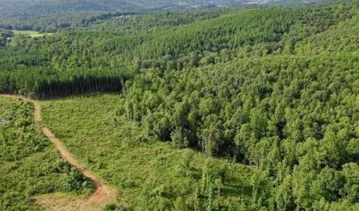Photo of SOLD!!  52.96 Acres of Hunting Land For Sale in Franklin County VA!