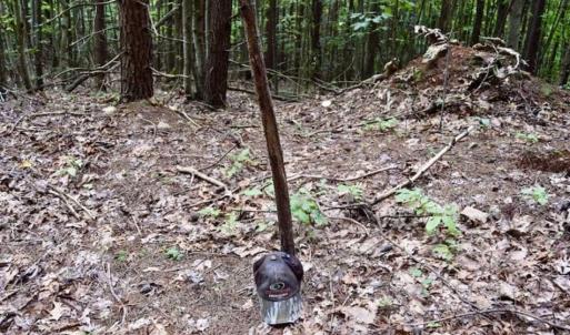 Photo of SOLD!!  52.96 Acres of Hunting Land For Sale in Franklin County VA!